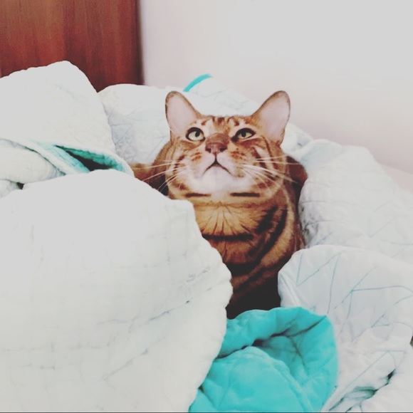 Meet your Posher, Alicia - Picture 1 of 1